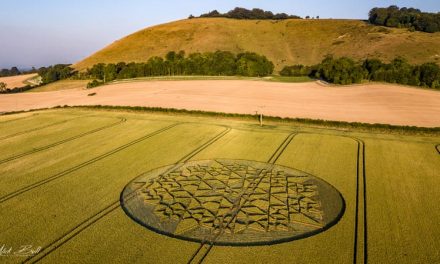2018 Circles: Martinsell Hill Hoax, nr Wotton Rivers, Wiltshire
