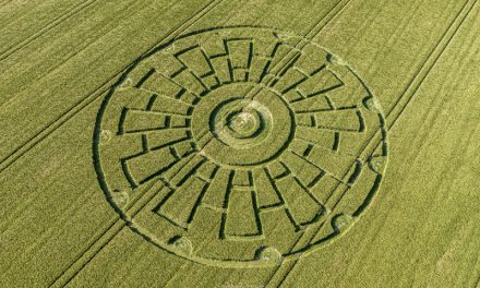 2020 Circles: Sixpenny Handley, Dorset