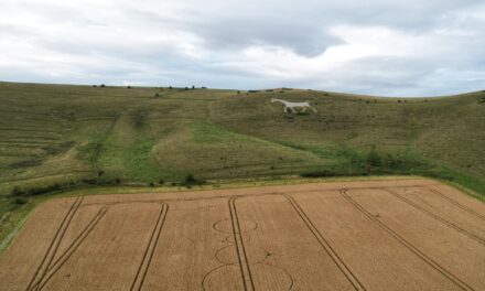 2023 Circles: Alton Barnes White Horse, Alton Barnes, Wiltshire